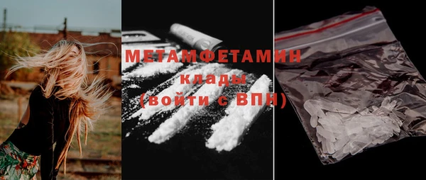 индика Нягань