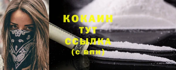 индика Нягань