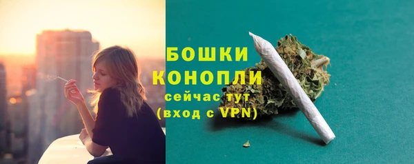 индика Нягань