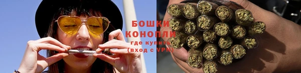 индика Нягань