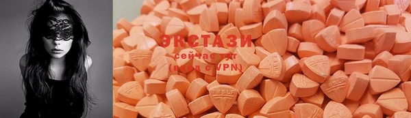 индика Нягань
