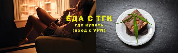 индика Нягань