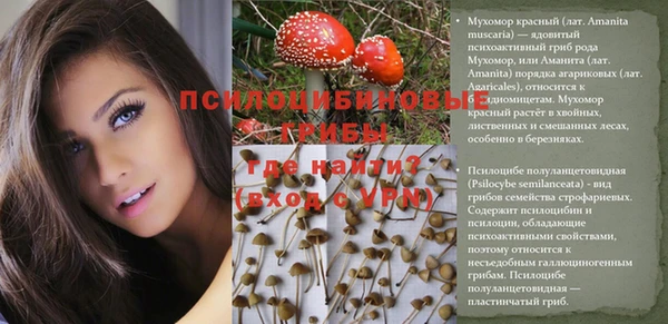 индика Нягань