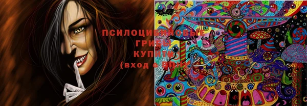 индика Нягань