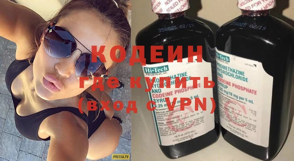индика Нягань