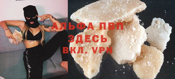 индика Нягань