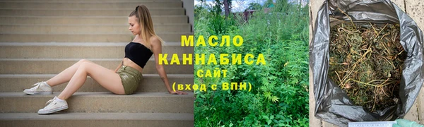 индика Нягань