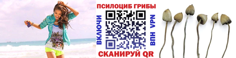 Галлюциногенные грибы прущие грибы  гидра ONION  Ужур 